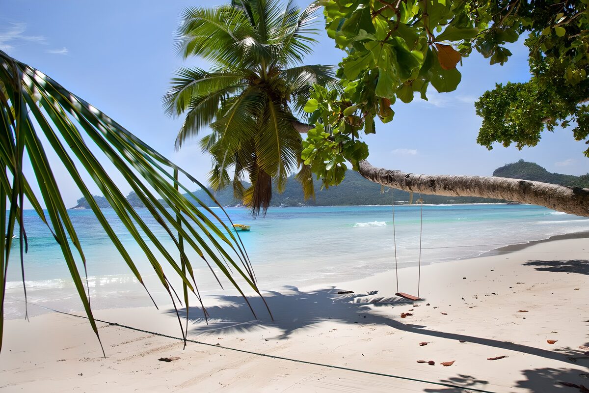 Palmenstrand mit Schaukel im Sonnenlicht