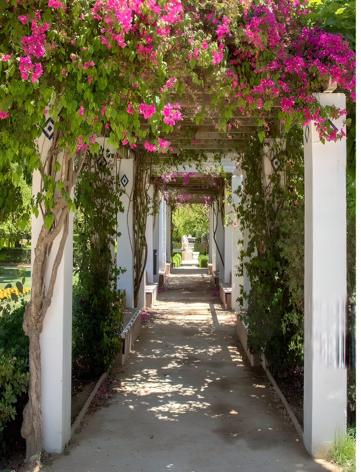 Ein rosa Blütendach über dem Gartenweg