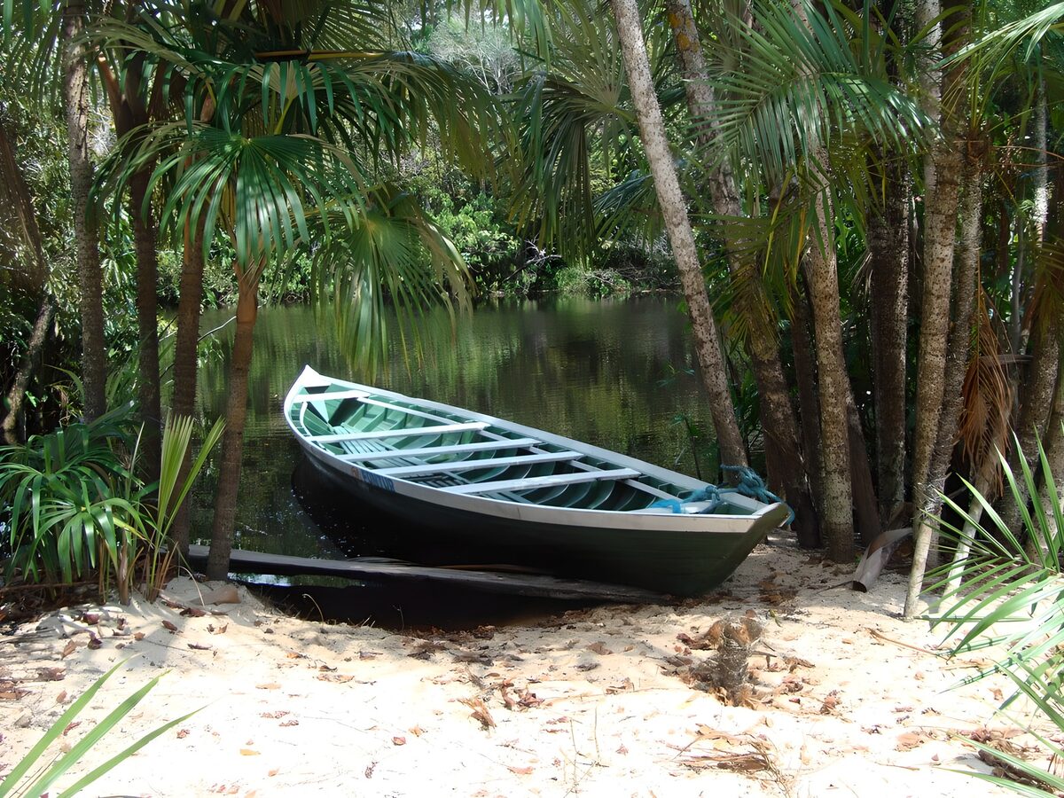 Grünes Boot am stillen Palmenufer