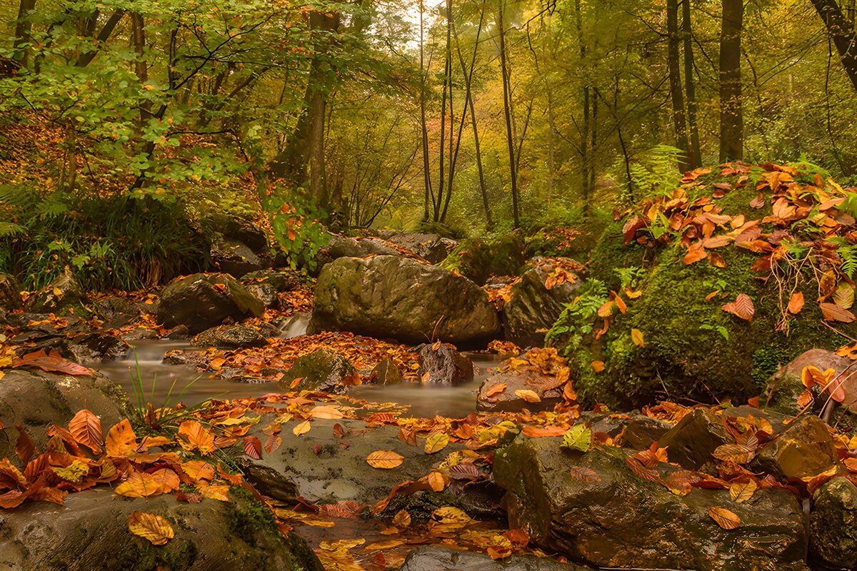 Stiller Herbstbach zwischen Felsen
