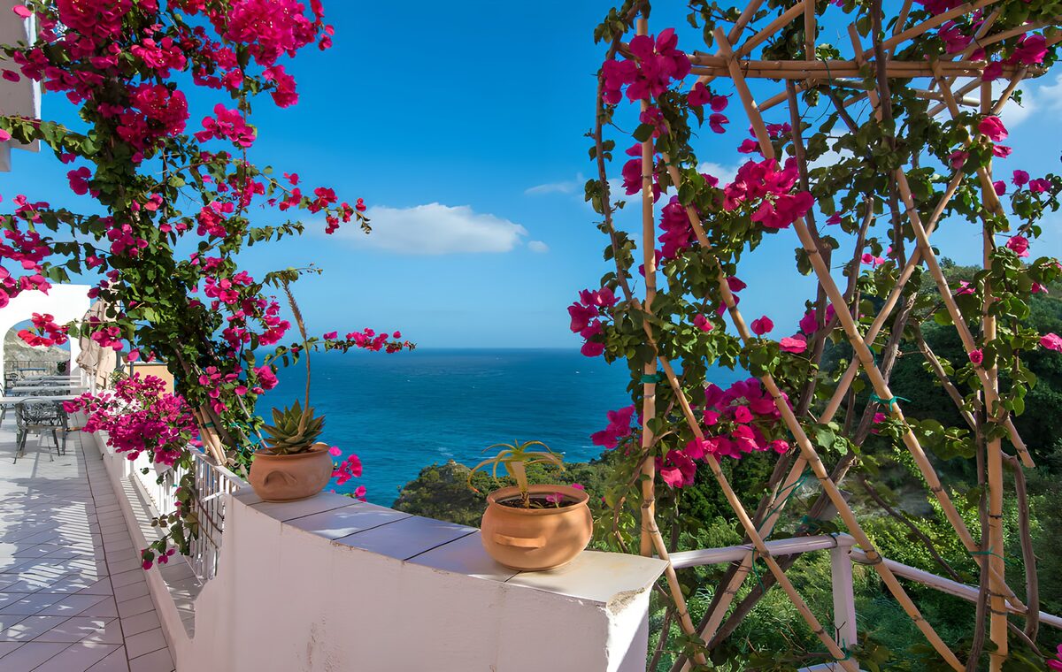 Sonnige Terrasse mit Bougainvillea