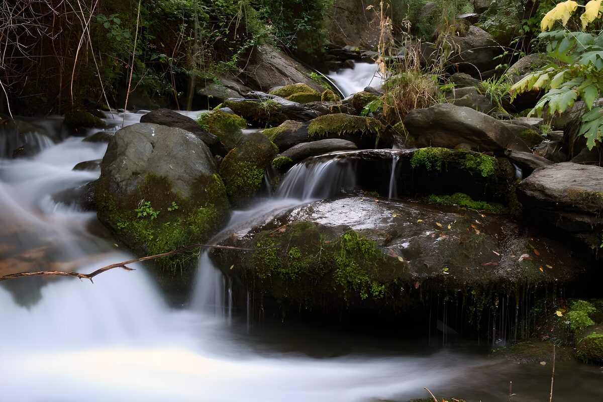 Waldbach zwischen moosgrünen Felsen