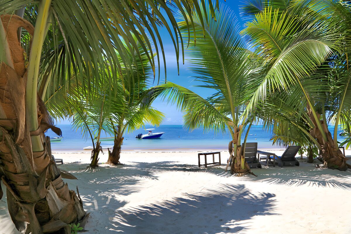 Palmenstrand mit Liegestühlen im Schatten