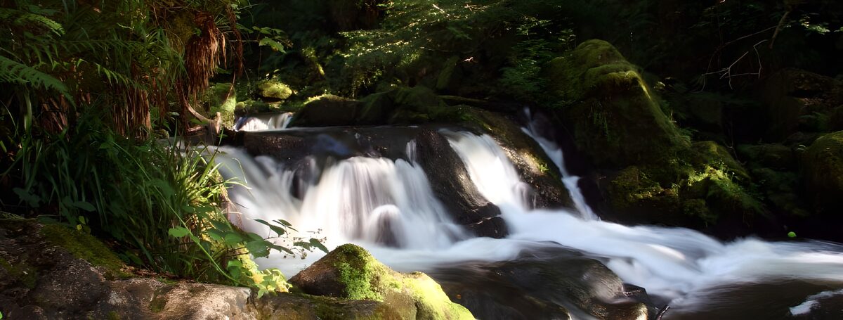 Waldbach über moosige Felsen
