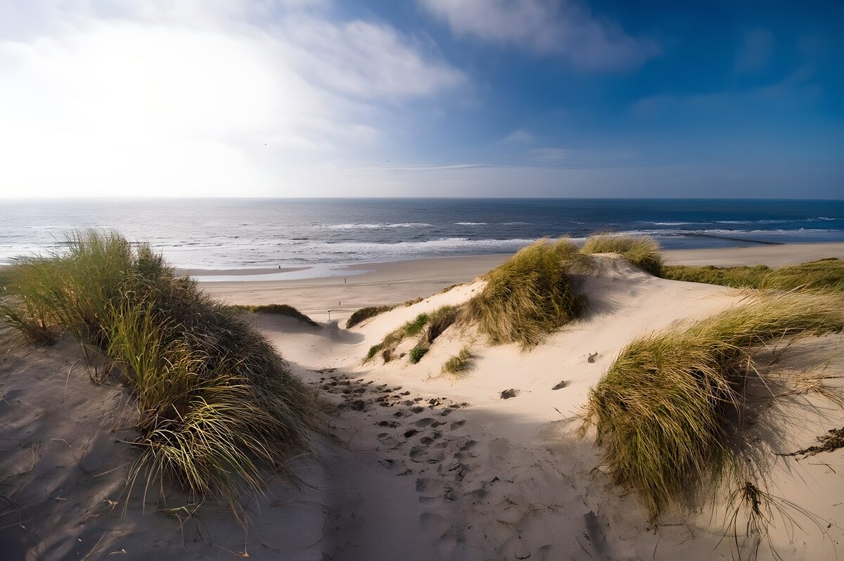 Sonniger Dünenweg zum Strand