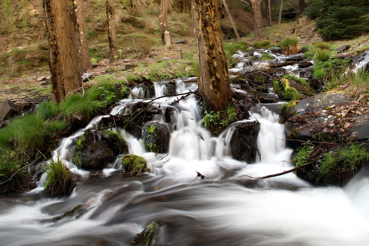 Seidiger Waldbach über dunklen Felsen