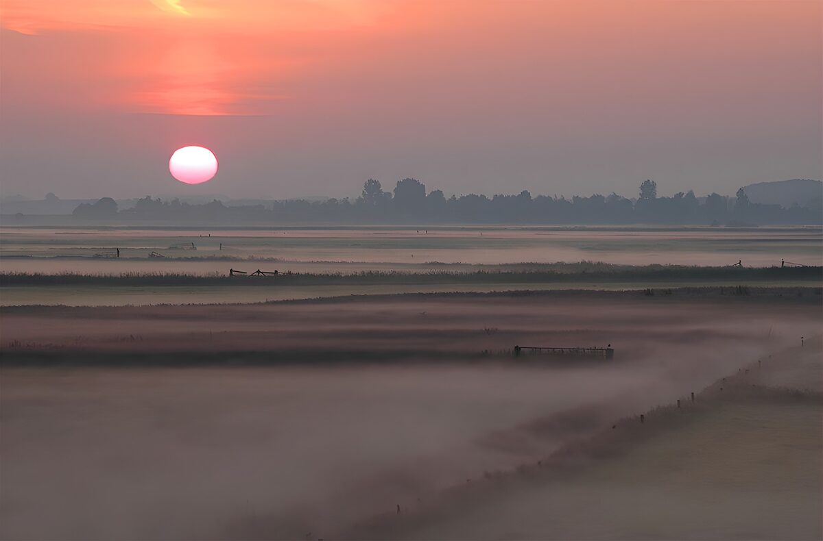 Sonnenaufgang über nebligen Feldern