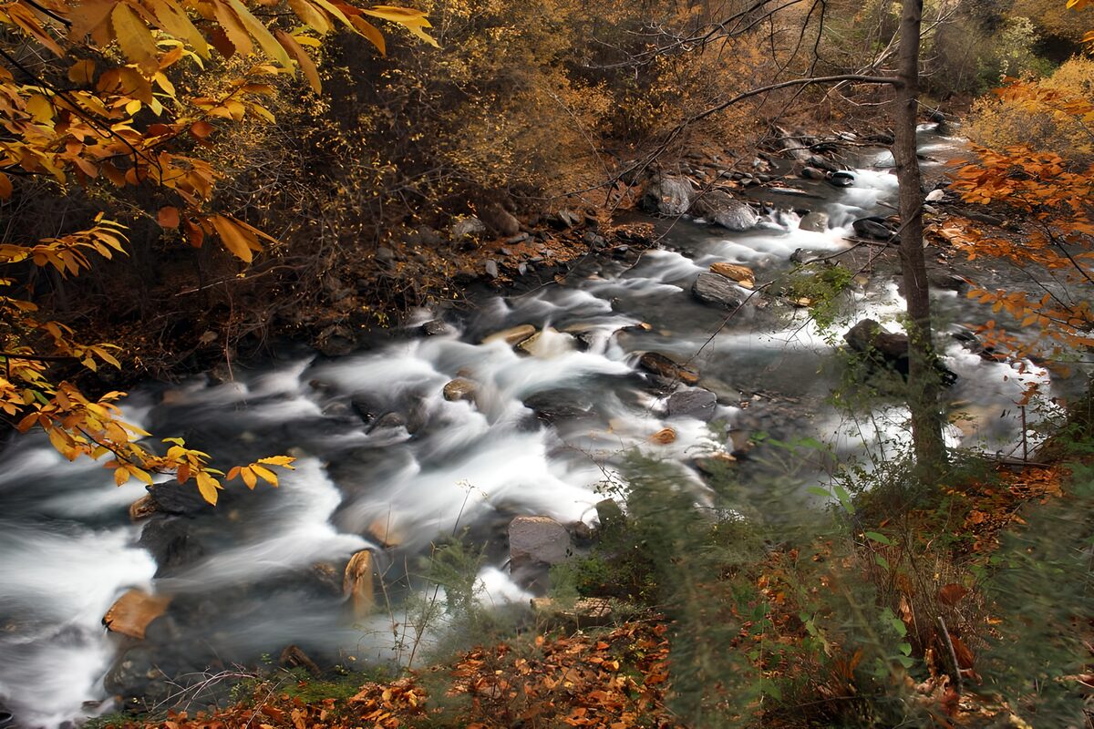 Felsiger Waldbach im goldenen Herbst