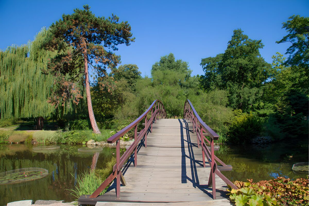 Holzbrücke über dem stillen Gartenteich