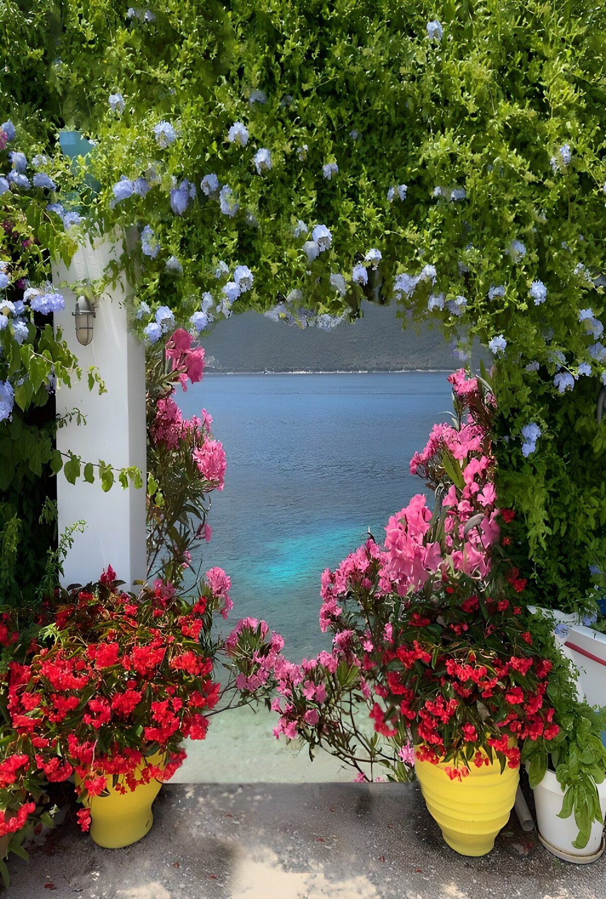 Blütenterrasse mit Blick aufs Meer
