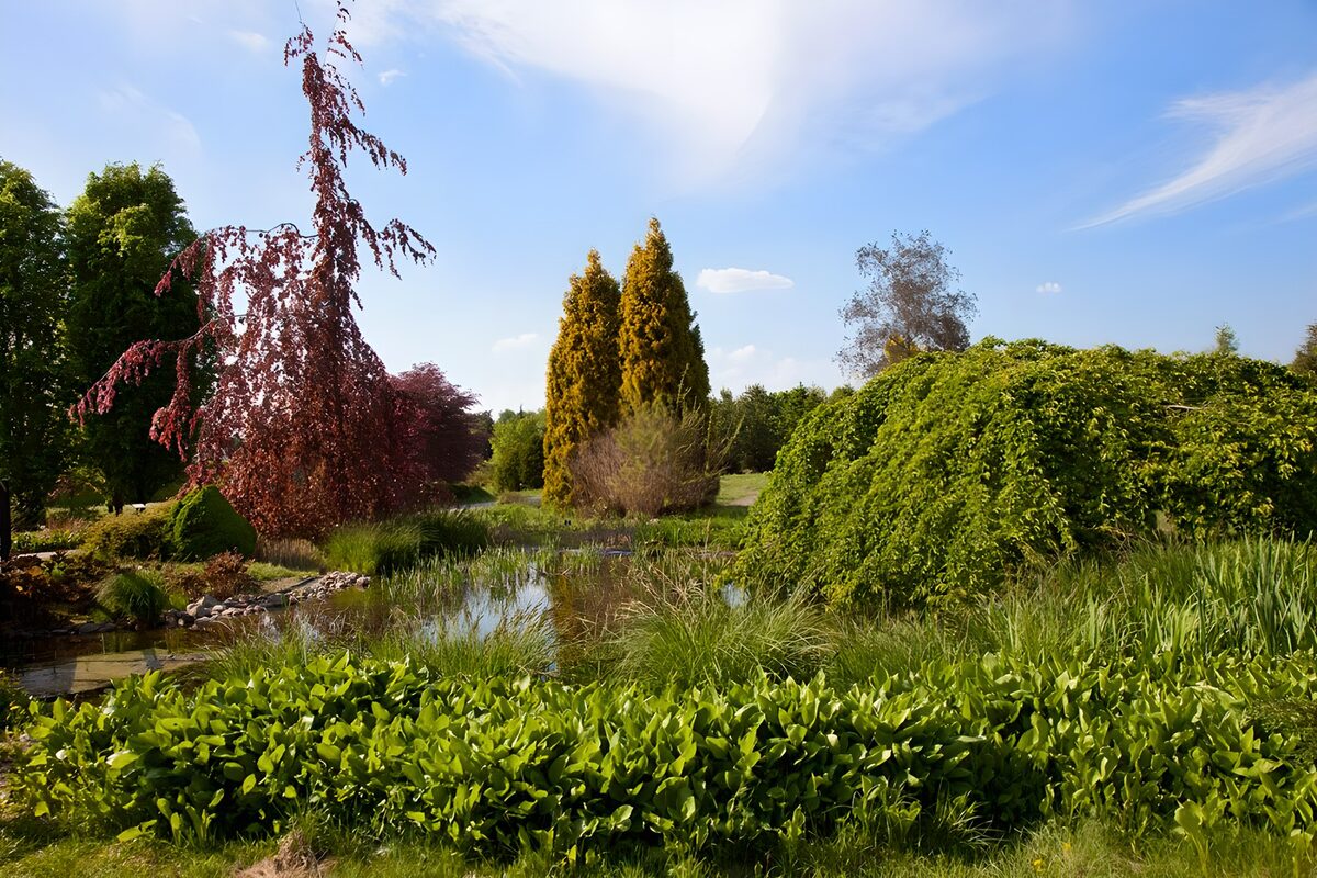 Sonniger Teich mit roten und grünen Bäumen