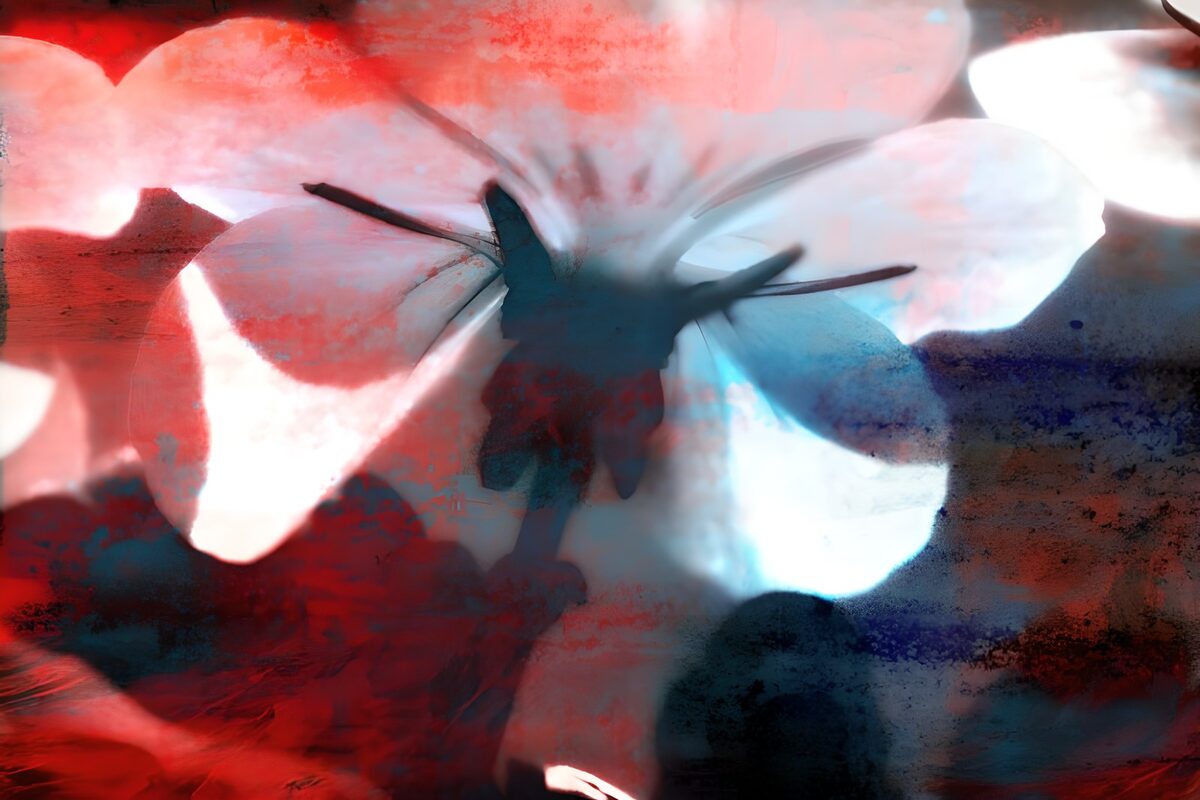 Abstrakte Blüte in Rot, Weiß und Nachtblau