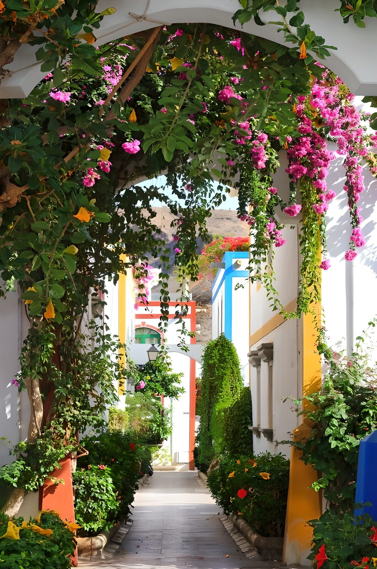 Sonnige Gasse mit blütenumranktem Bogen