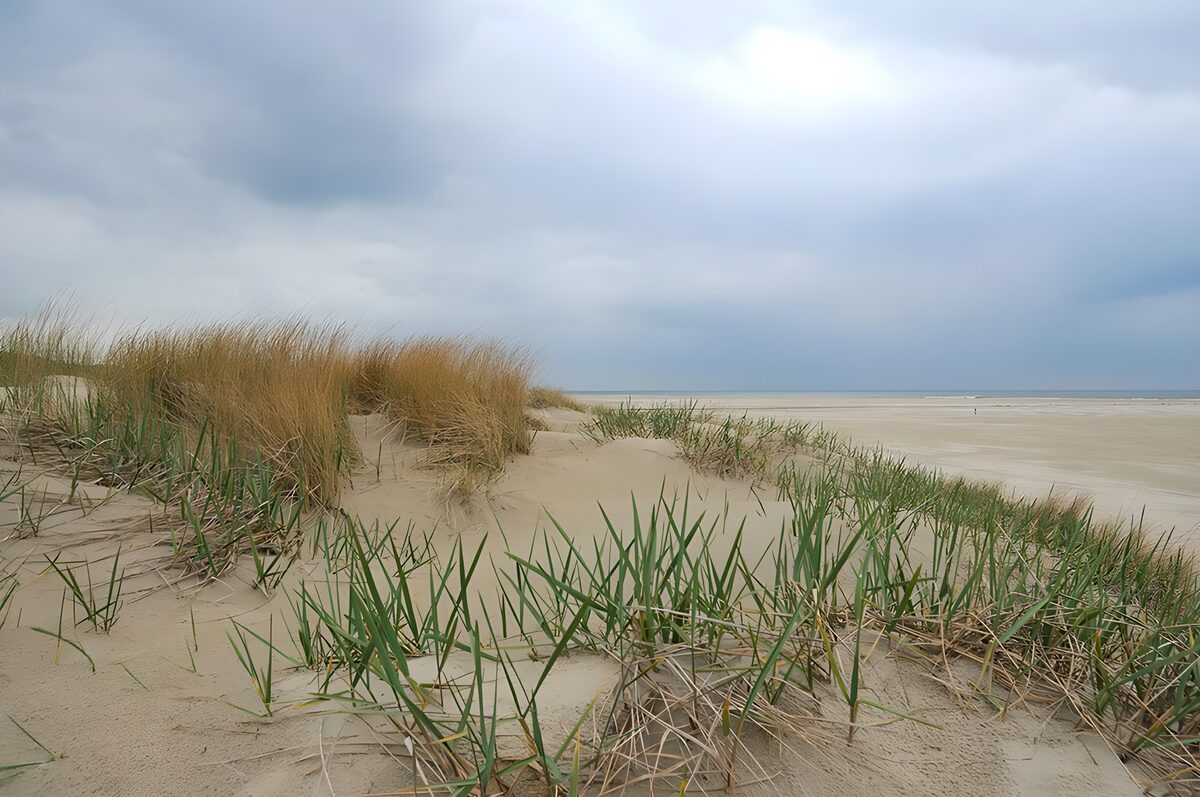 Dünen und weiter Strand unter Wolken