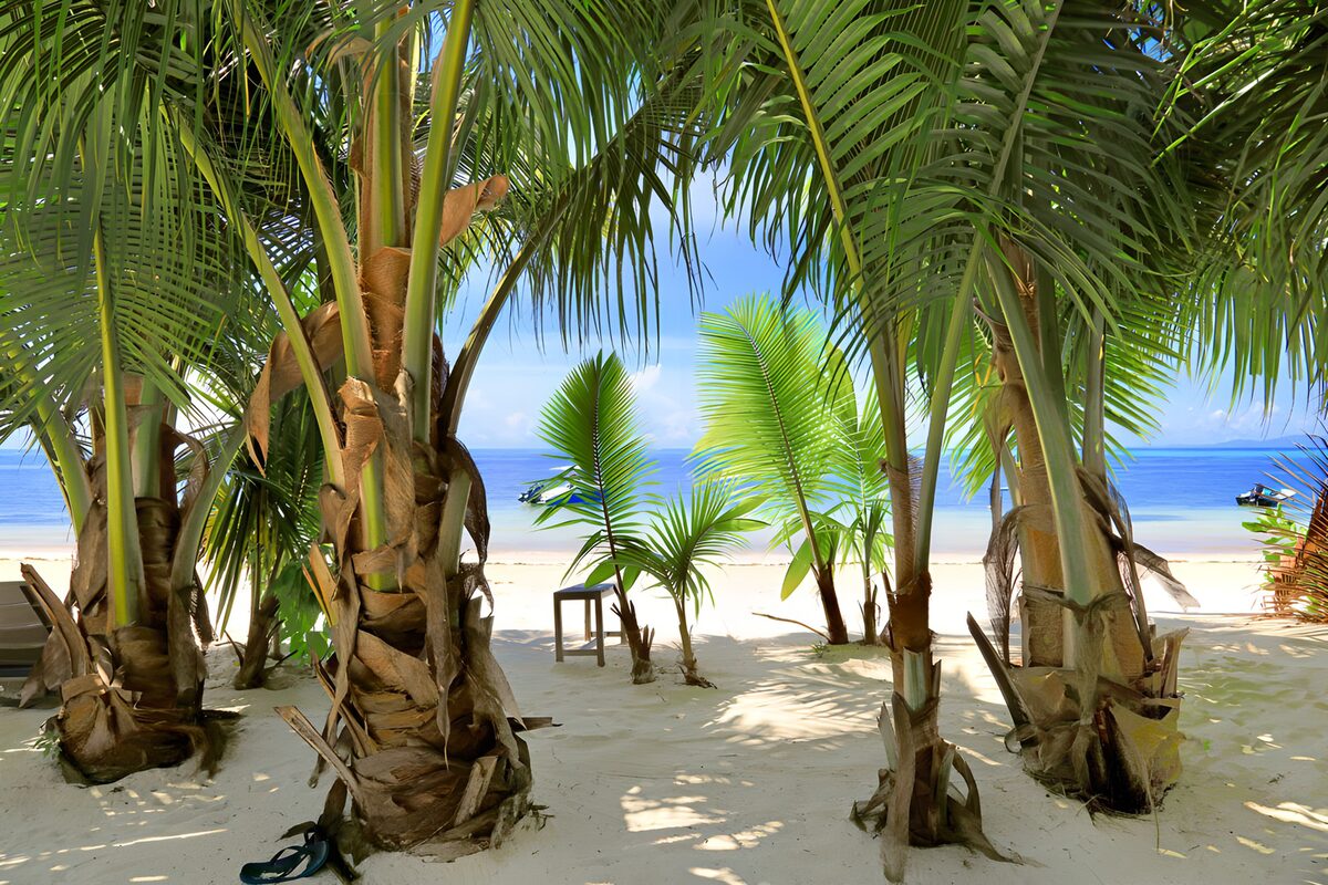 Schuhe aus am Palmenstrand