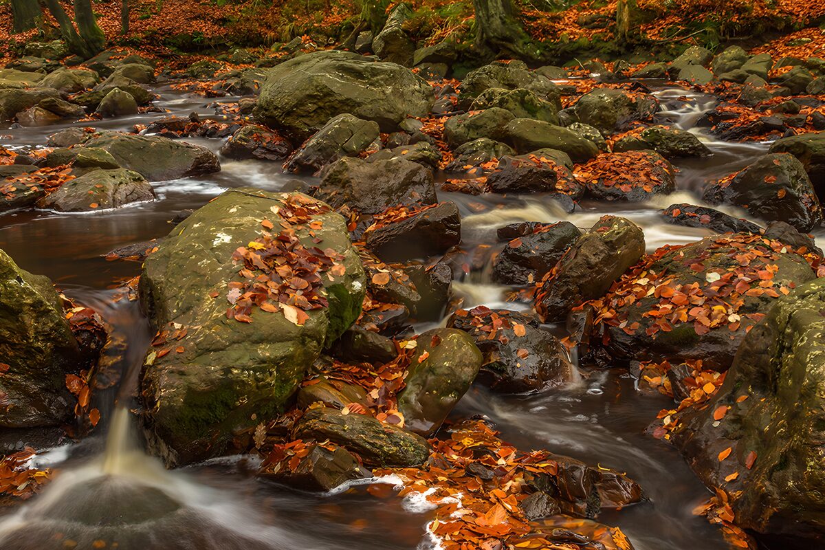 Herbstbach zwischen laubbedeckten Felsen