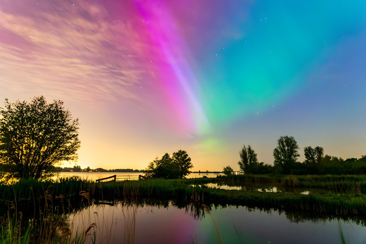 Polarlichter über Wasser und Schilf