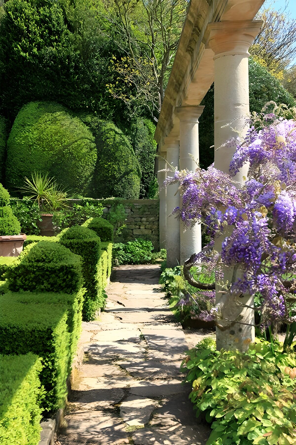 Sonniger Steinweg mit lila Blüten