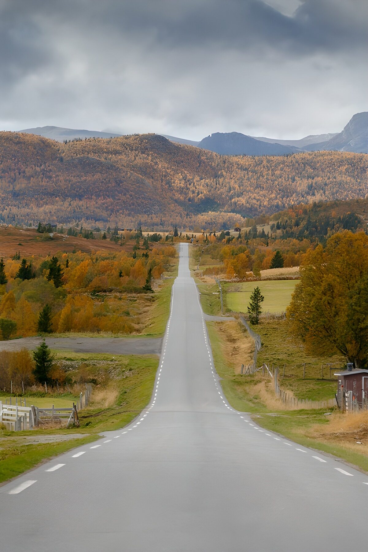 Gerade Landstraße im stillen Herbsttal