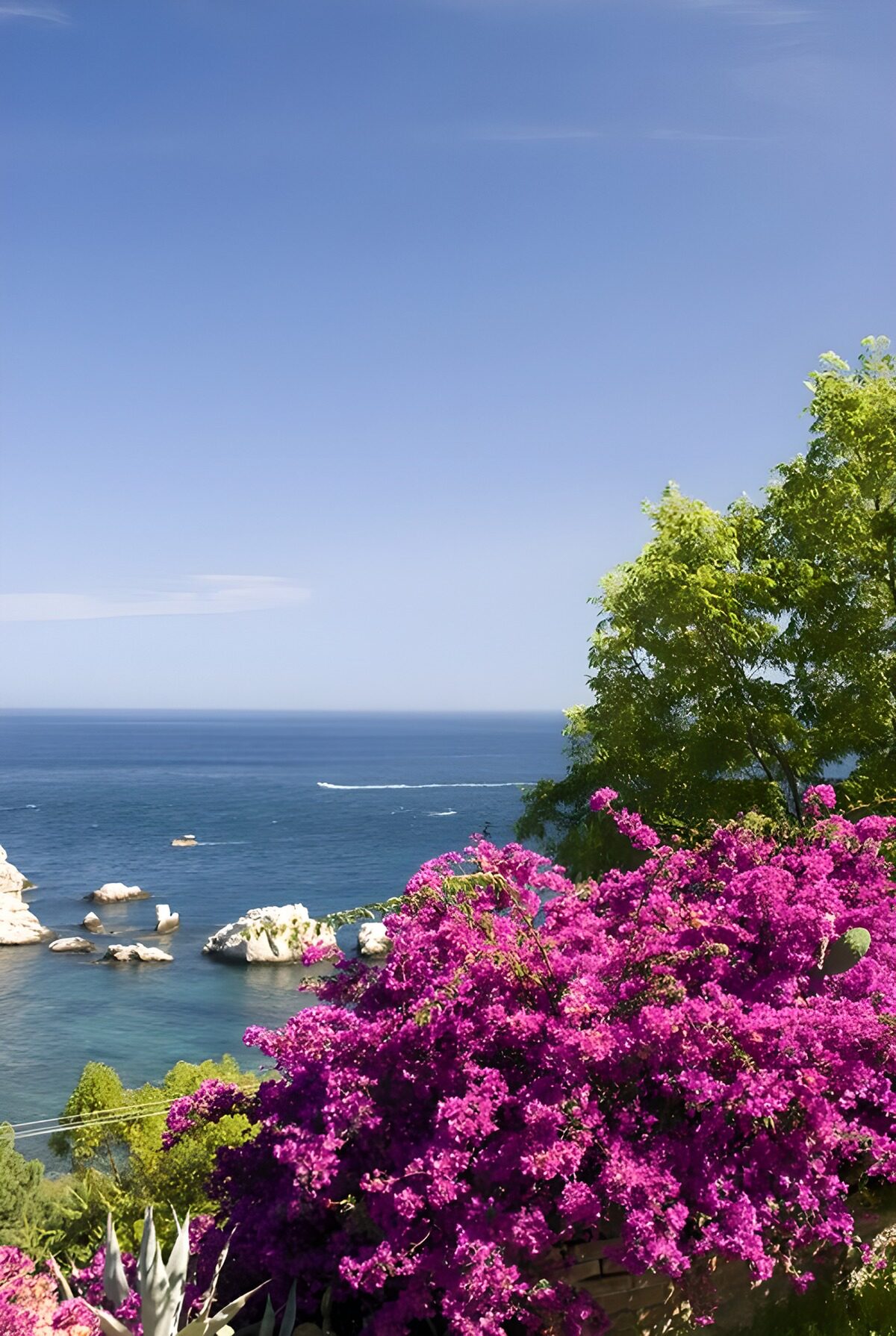 Bougainvillea mit Blick aufs türkise Meer