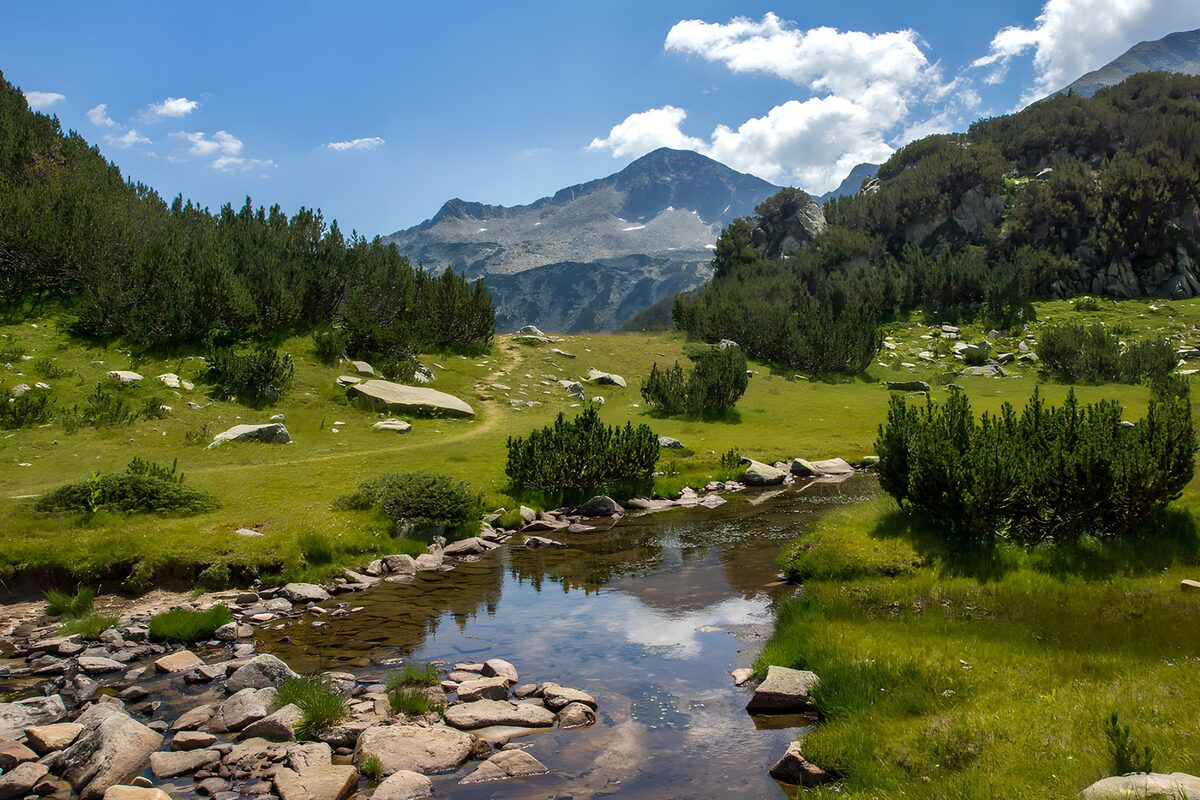 Klarer Bergbach auf sattgrüner Wiese