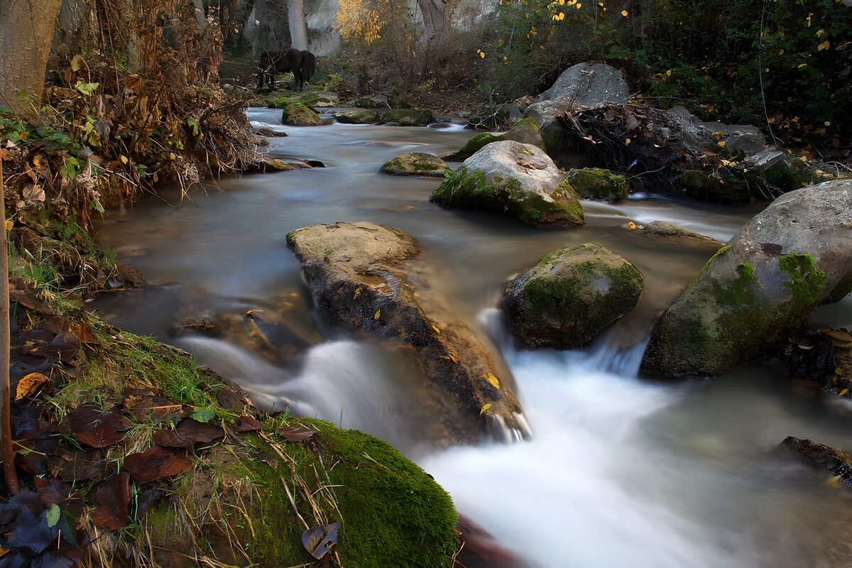 Wilder Waldbach zwischen moosigen Felsen