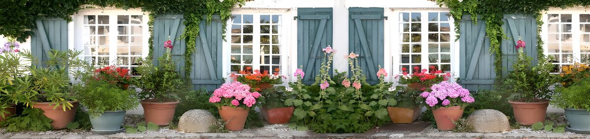 Blütenfülle vor blaugrauen Fensterläden