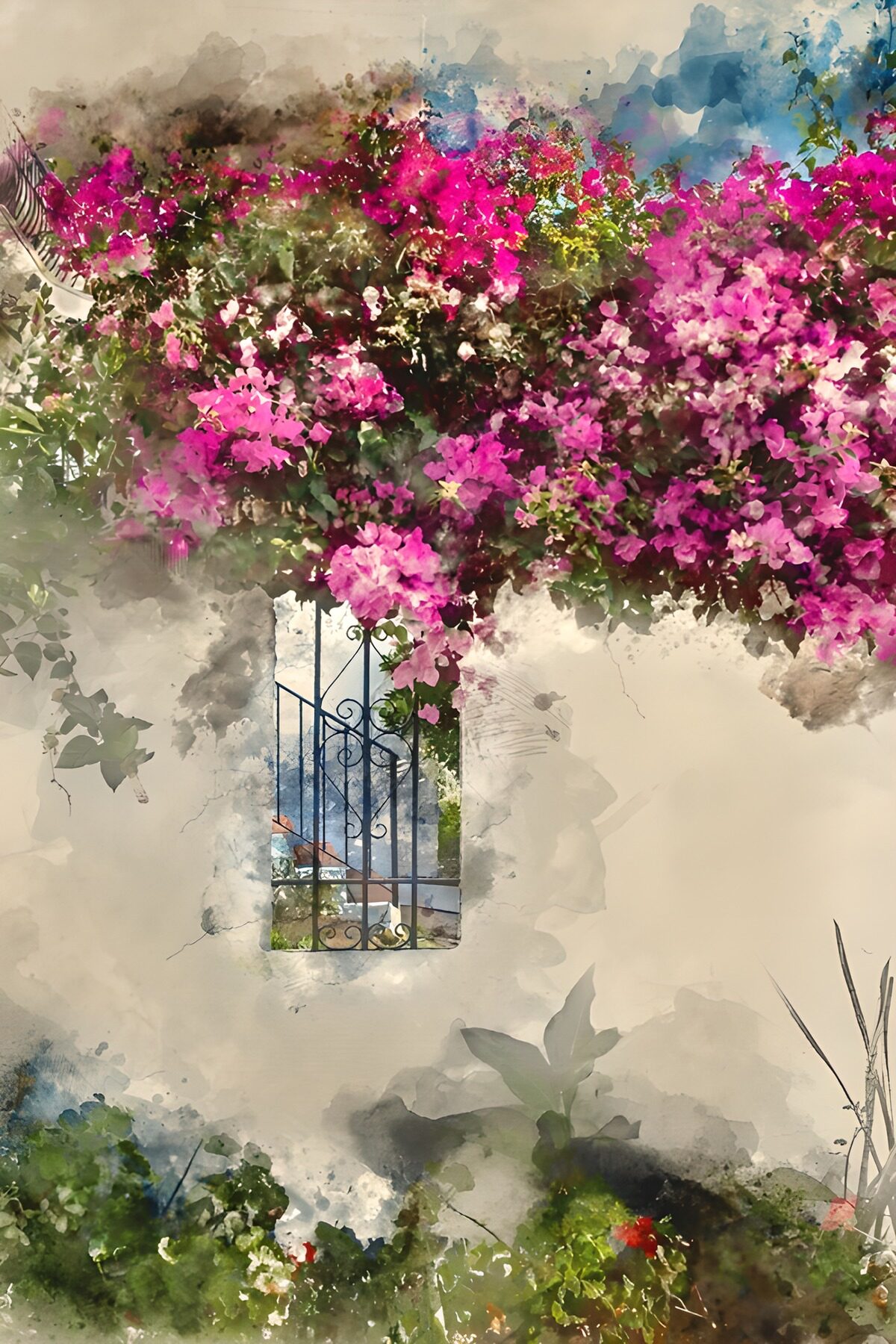 Bougainvillea an der hellen Gartenmauer