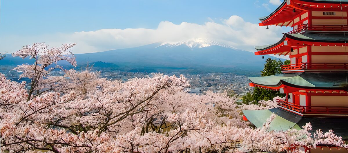 Fuji und Pagode im Kirschblütenfrühling