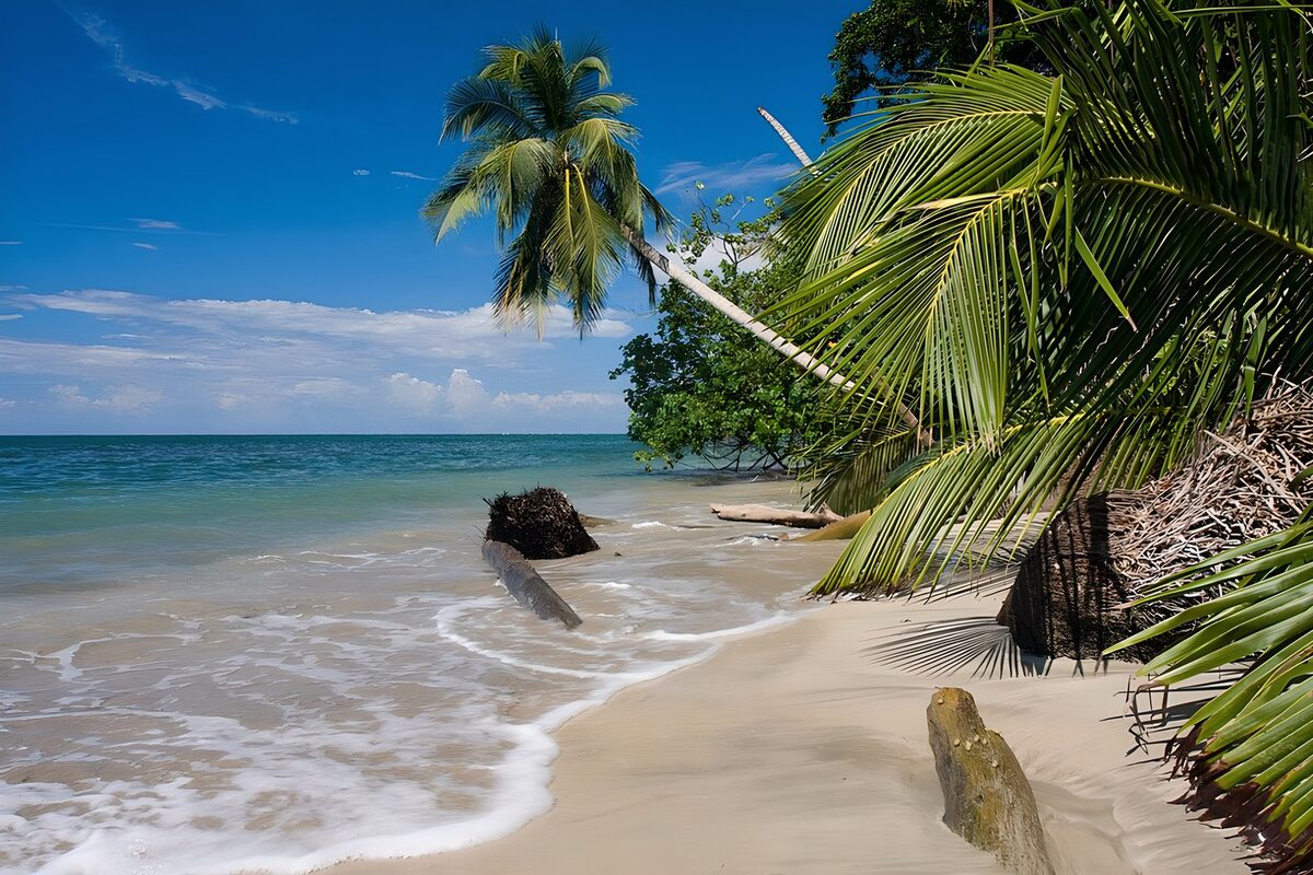 Palmenstrand mit türkisblauem Meer