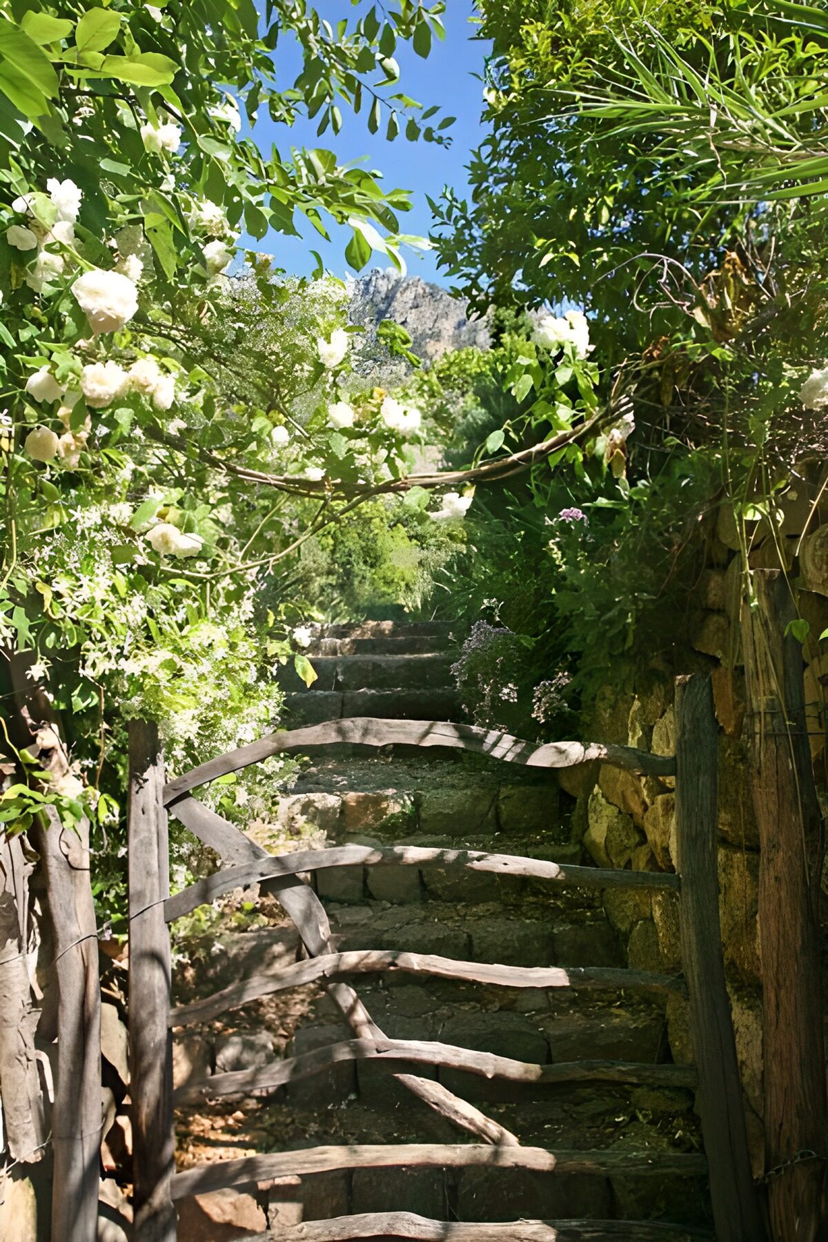 Steintreppe und Holztor im Sonnenlicht