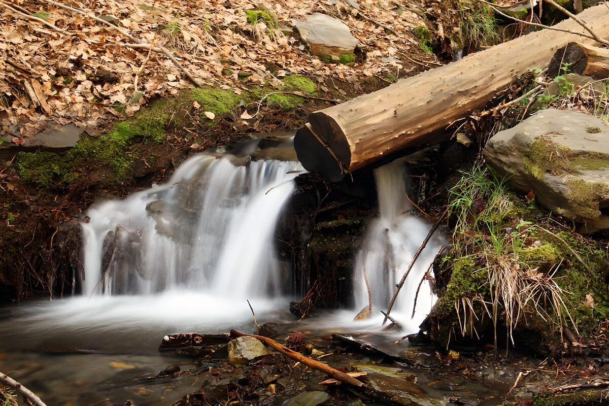 Kleiner Waldwasserfall zwischen Moos und Laub