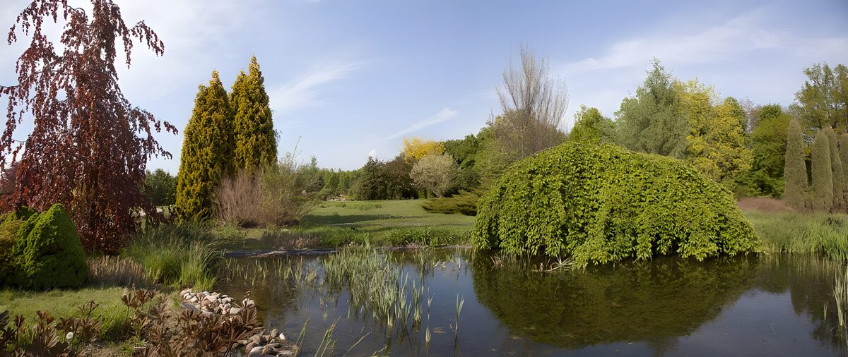 Gartenteich im frischen Frühlingsgrün