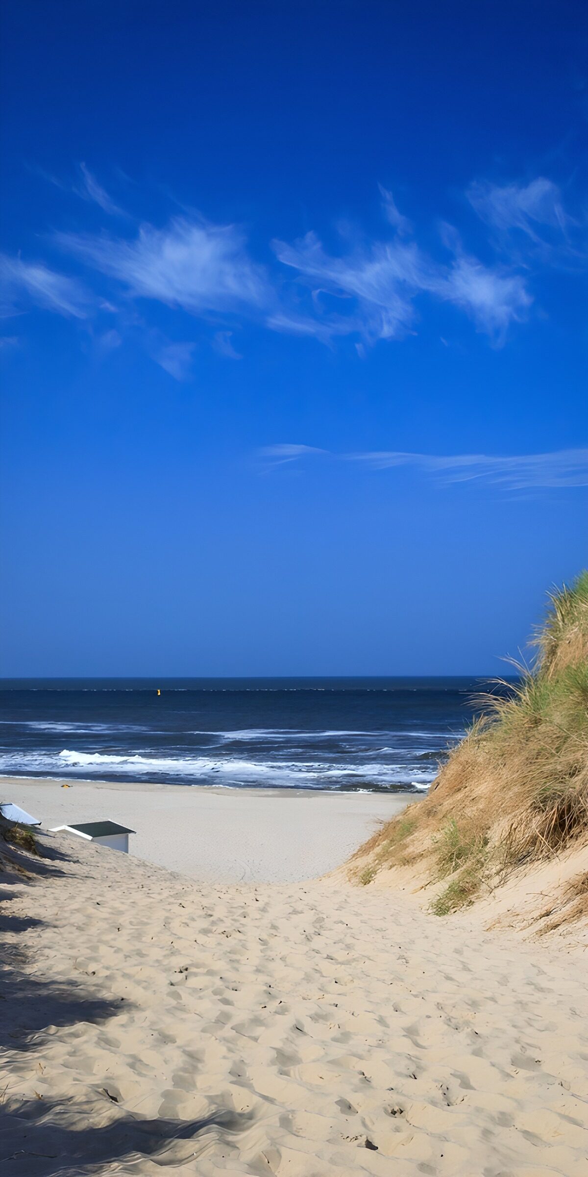 Dünenweg zum Strand unter blauem Himmel