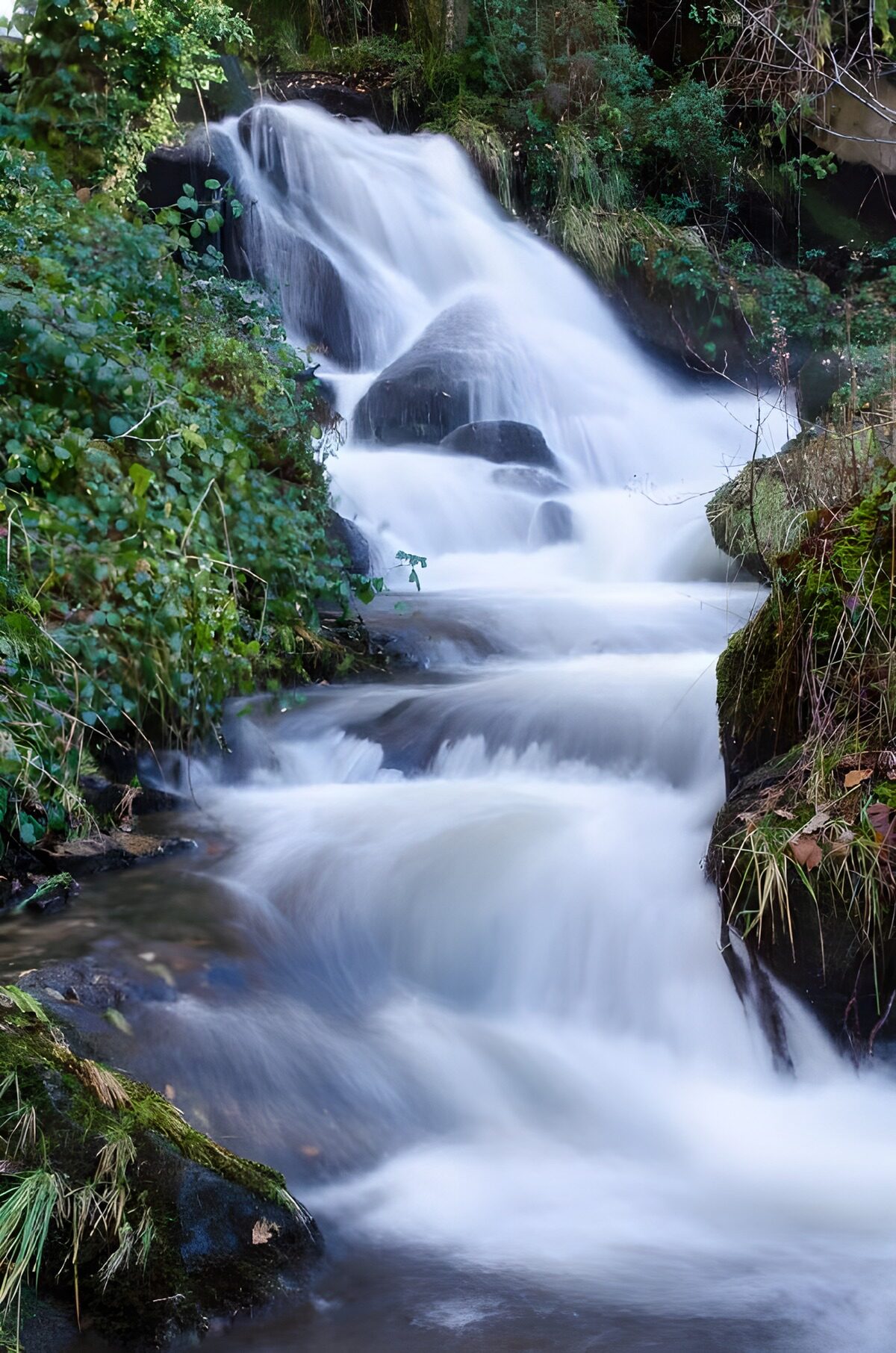 Waldwasserfall zwischen Moos und Felsen