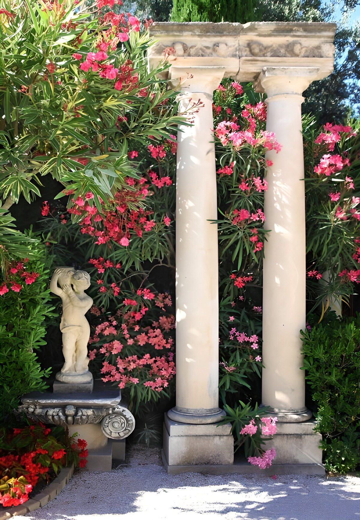 Oleander und Säulen im Sommerlicht