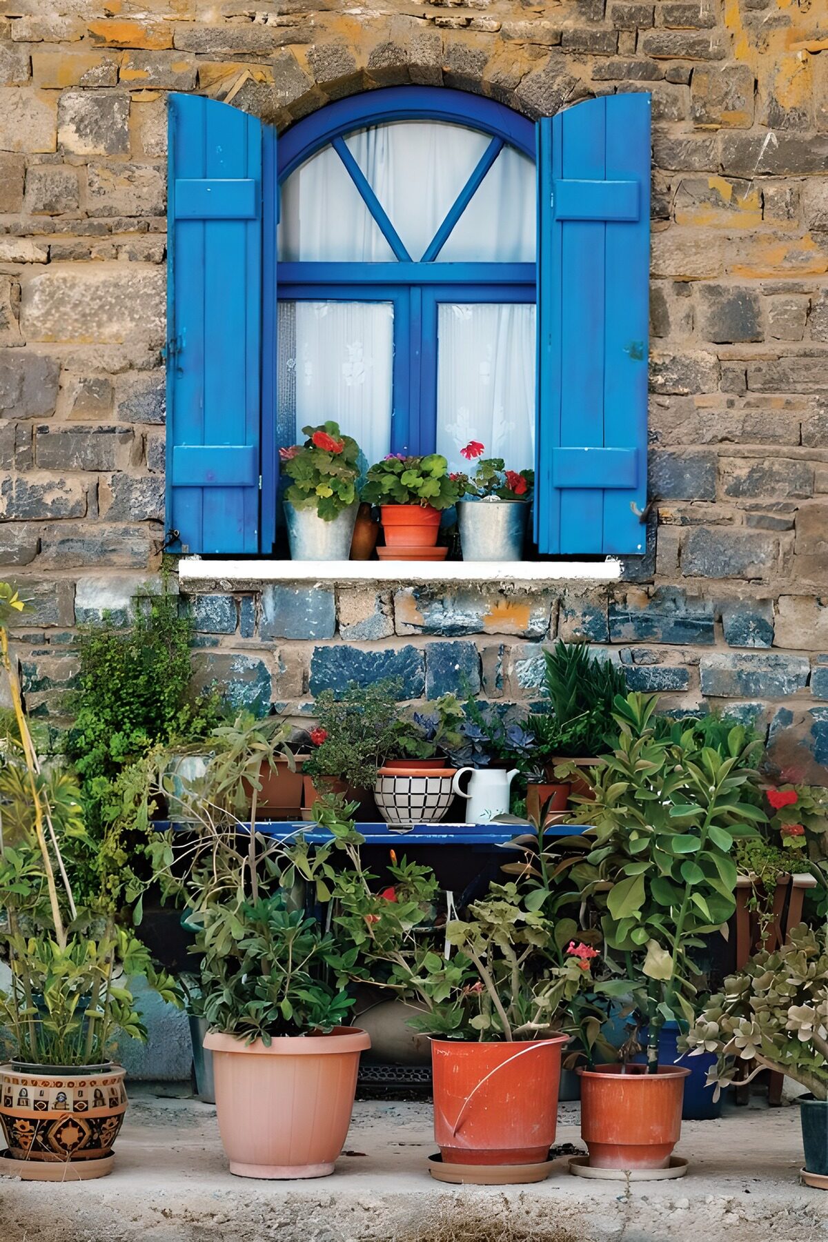 Blaue Fensterläden und bunte Blumentöpfe