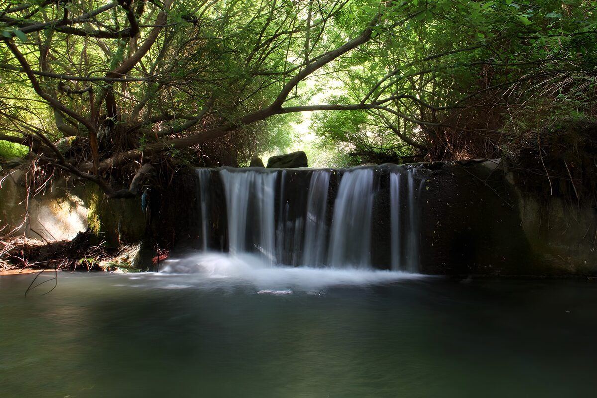 Kleiner Wasserfall im schattigen Wald
