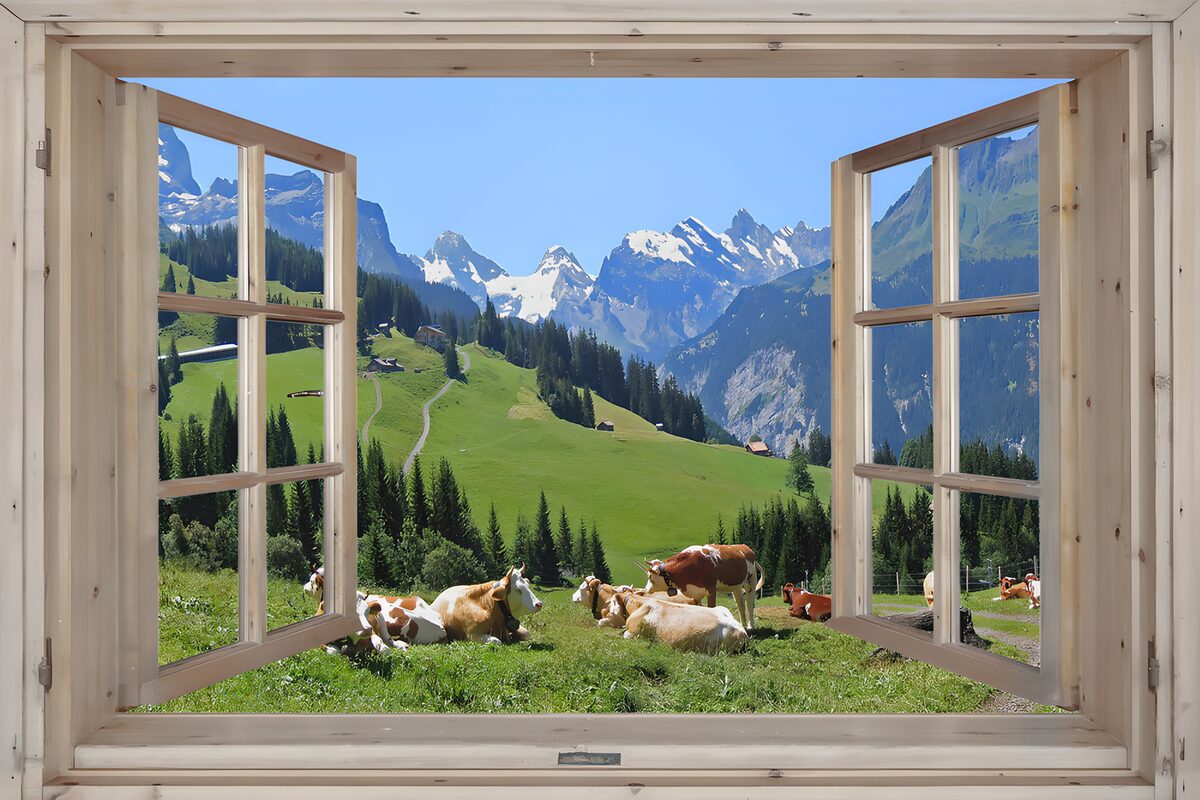 Offenes Fenster mit Kühen und Bergblick
