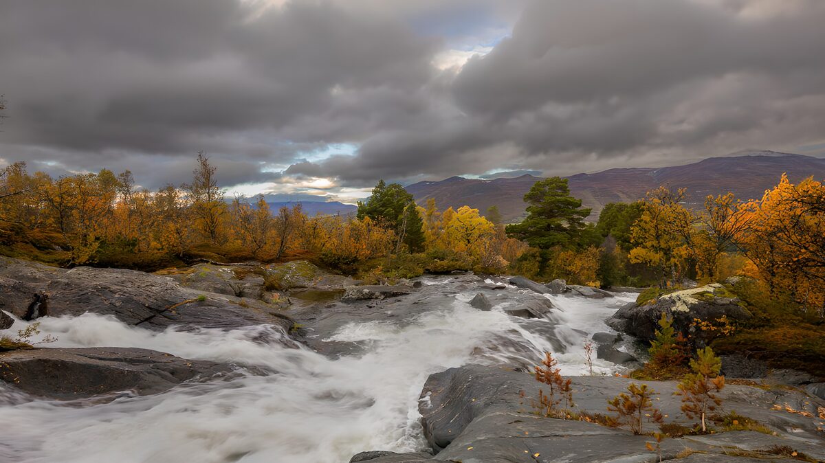 Herbstgold über wildem Wasser