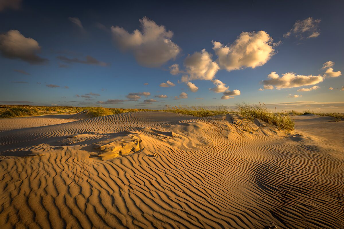 Sanddünen im warmen Abendlicht