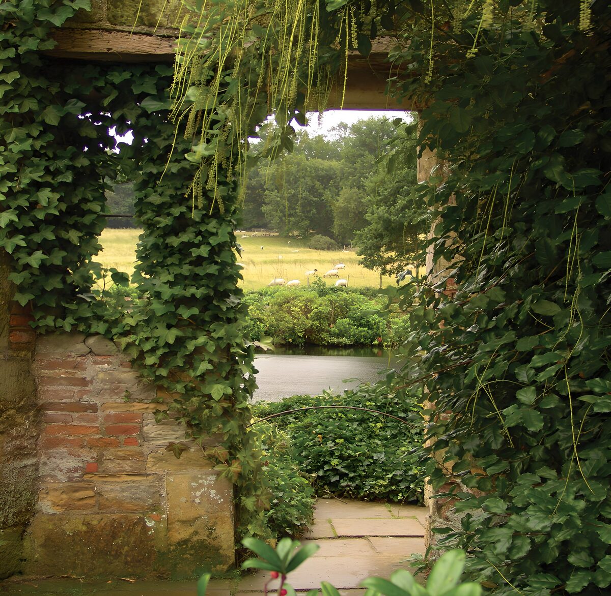 Efeubewachsene Mauer mit Blick zum Teich