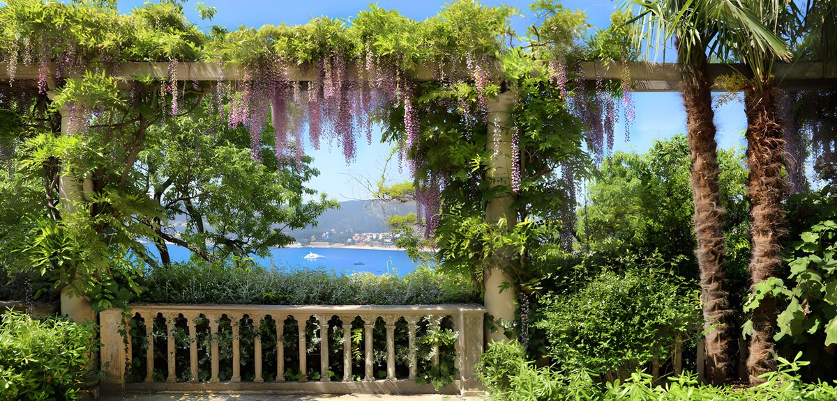 Pergola mit Blauregen über der blauen Bucht