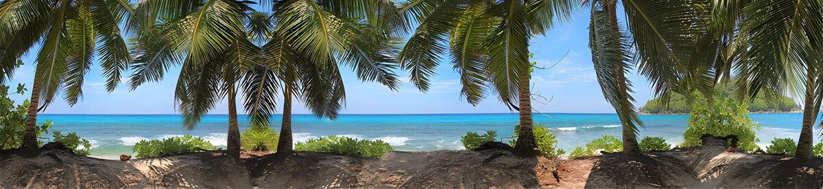 Tropischer Strand im Schatten der Palmen