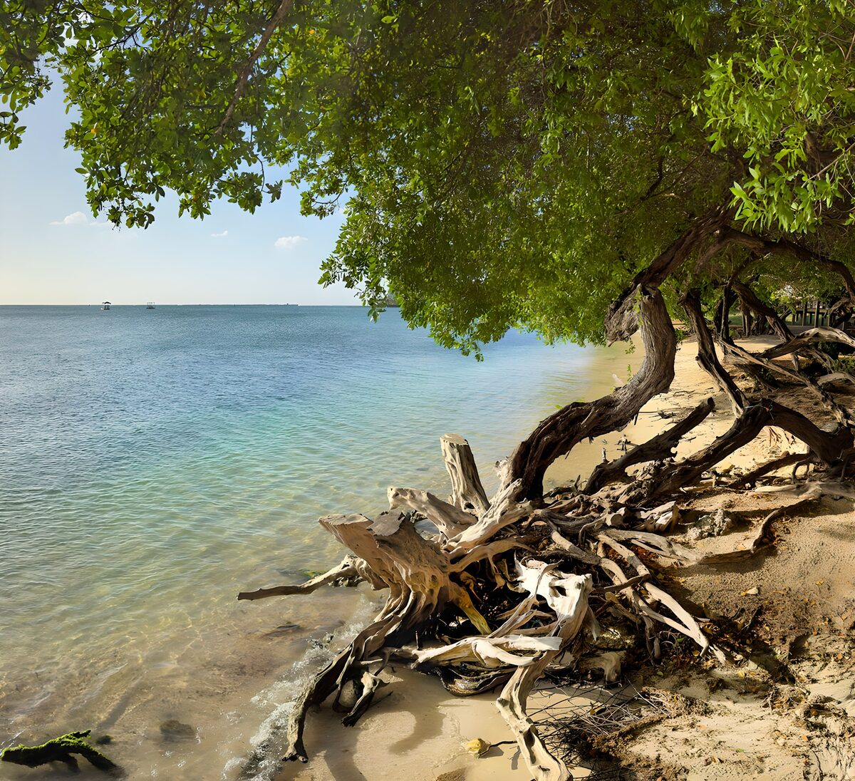 Schattiger Sandstrand am türkisblauen Meer