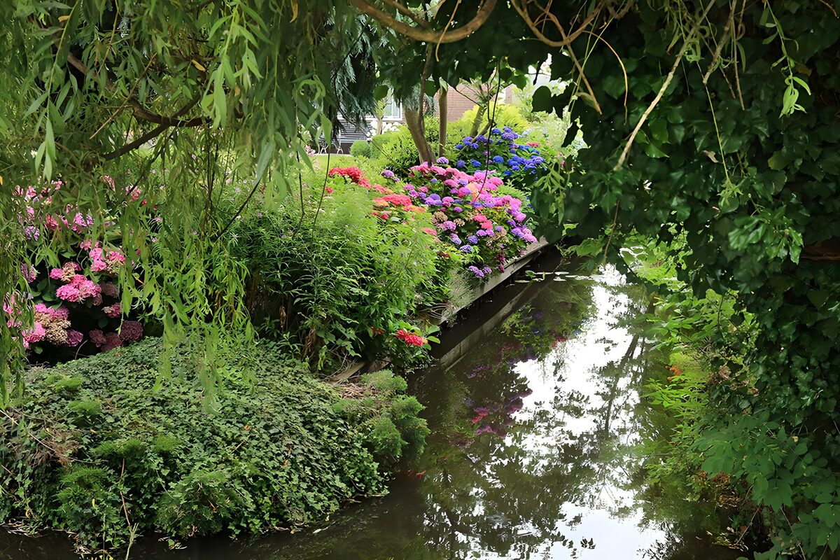 Gartenwasser mit blühenden Hortensien