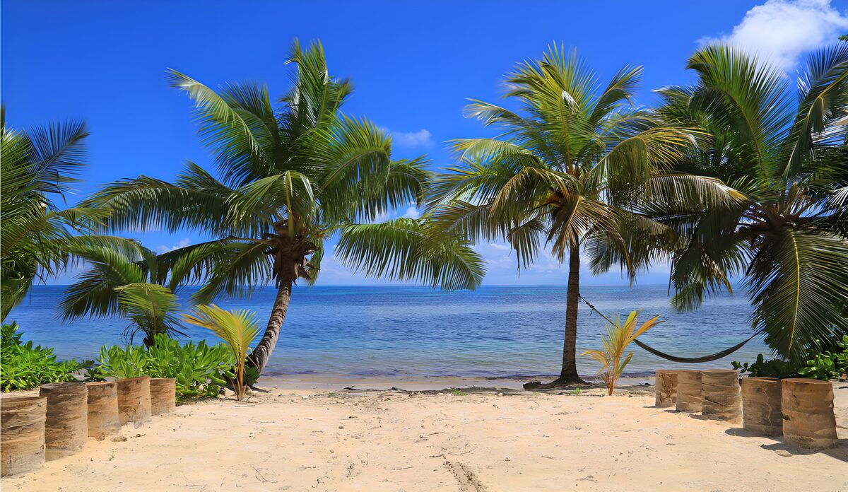 Palmenstrand mit Hängematte im Sonnenschein