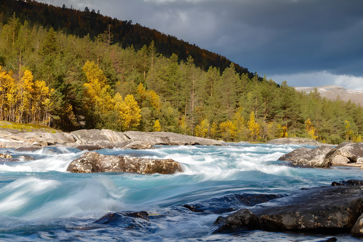 Türkiser Wildfluss im Herbstwald