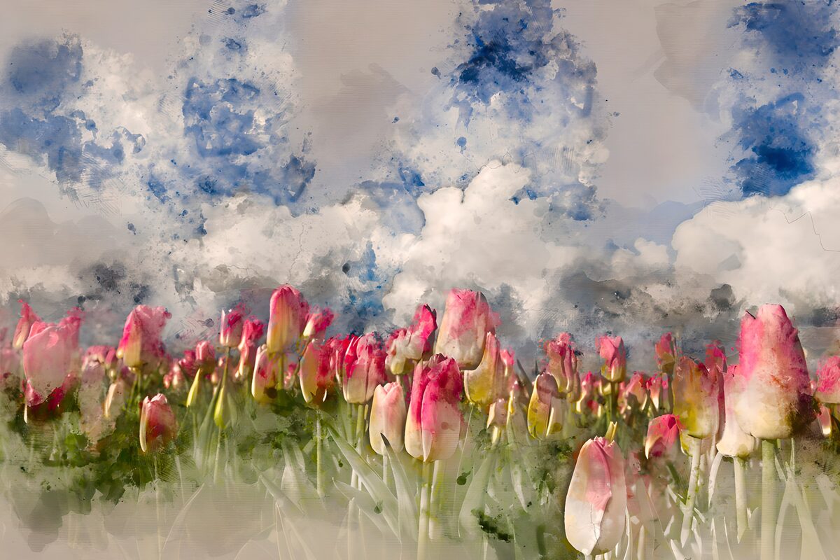 Rosa Tulpenfeld in zarten Aquarellfarben