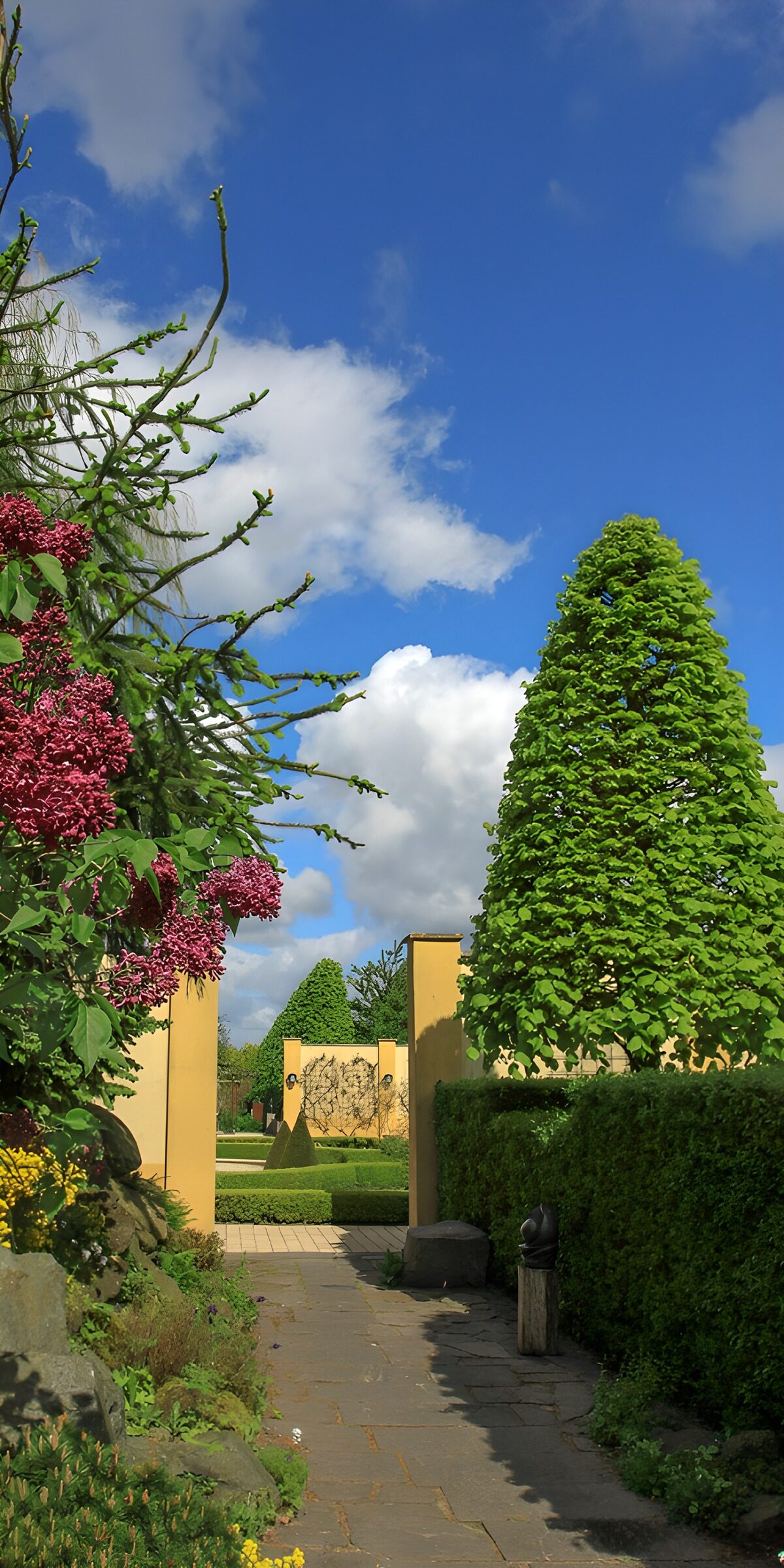 Steinweg zwischen Blüten und Formschnitt
